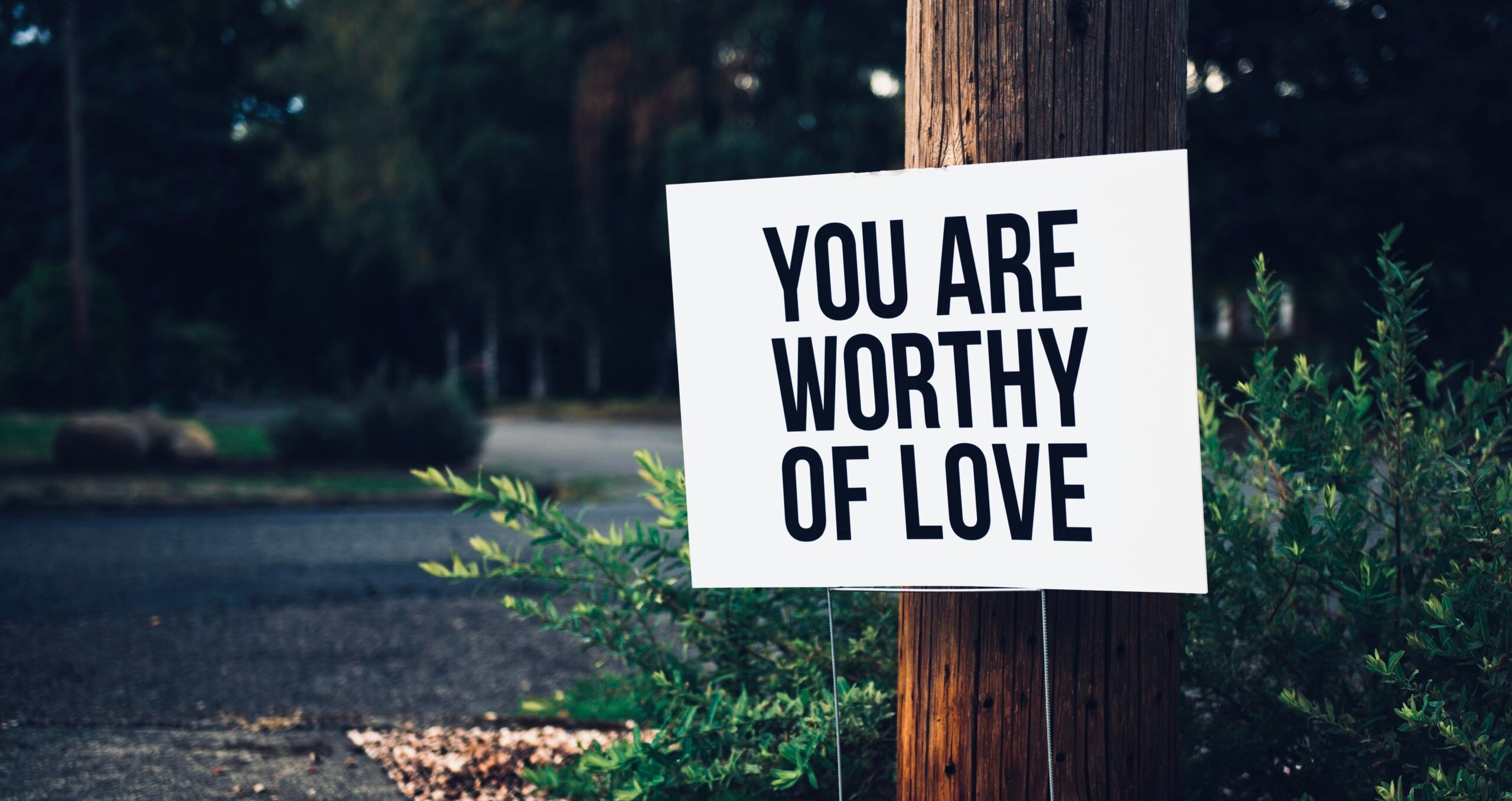 tim-mossholder-SR8ByN6xY3k-unsplash 3